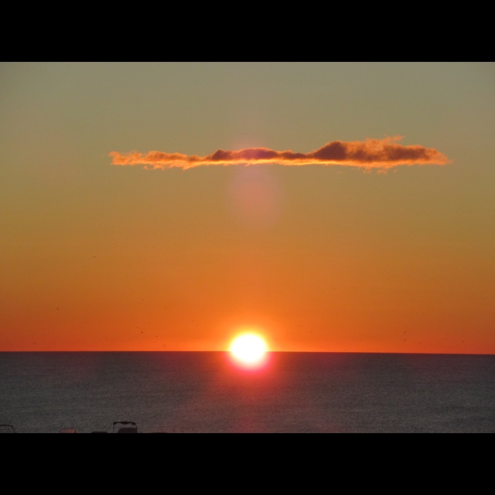 Meet your Posher, Laurie